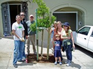 People standing next to a newly planted street tree