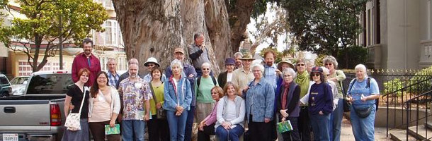Group posing in front of large tree 