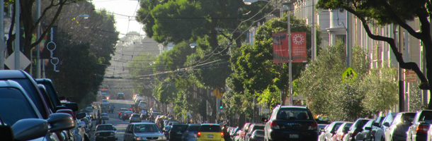 Tree-lined street 