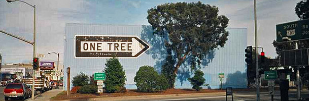 Street tree 