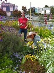 Volunteers working in garden