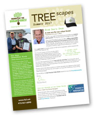Cover of Treescapes issue 2 from 2017