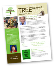 Cover of Treescapes issue 3 from 2017