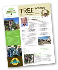 Cover of Treescapes issue 2 from 2018