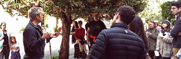 Mike Sullivan, author of The Trees of San Francisco, leads a tree tour